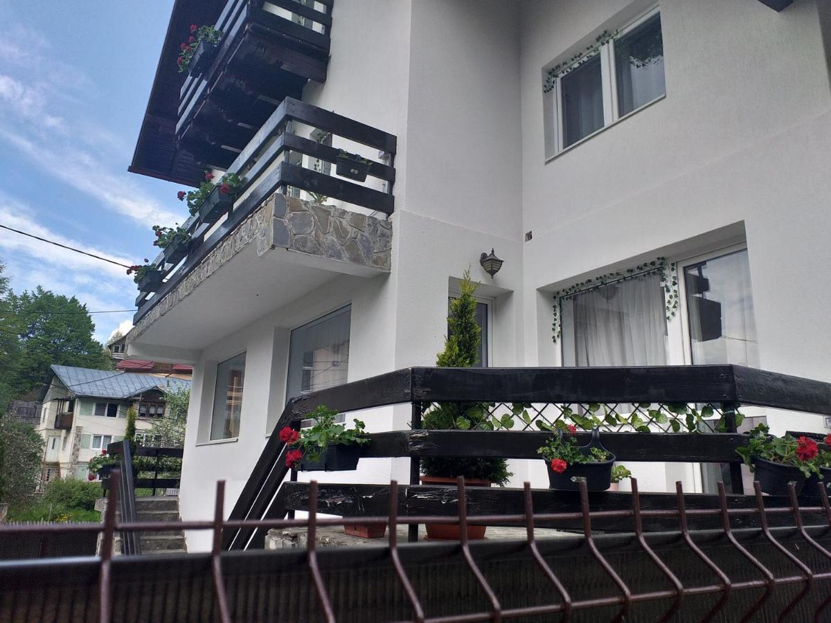Hotel Miraj à Azuga Extérieur photo